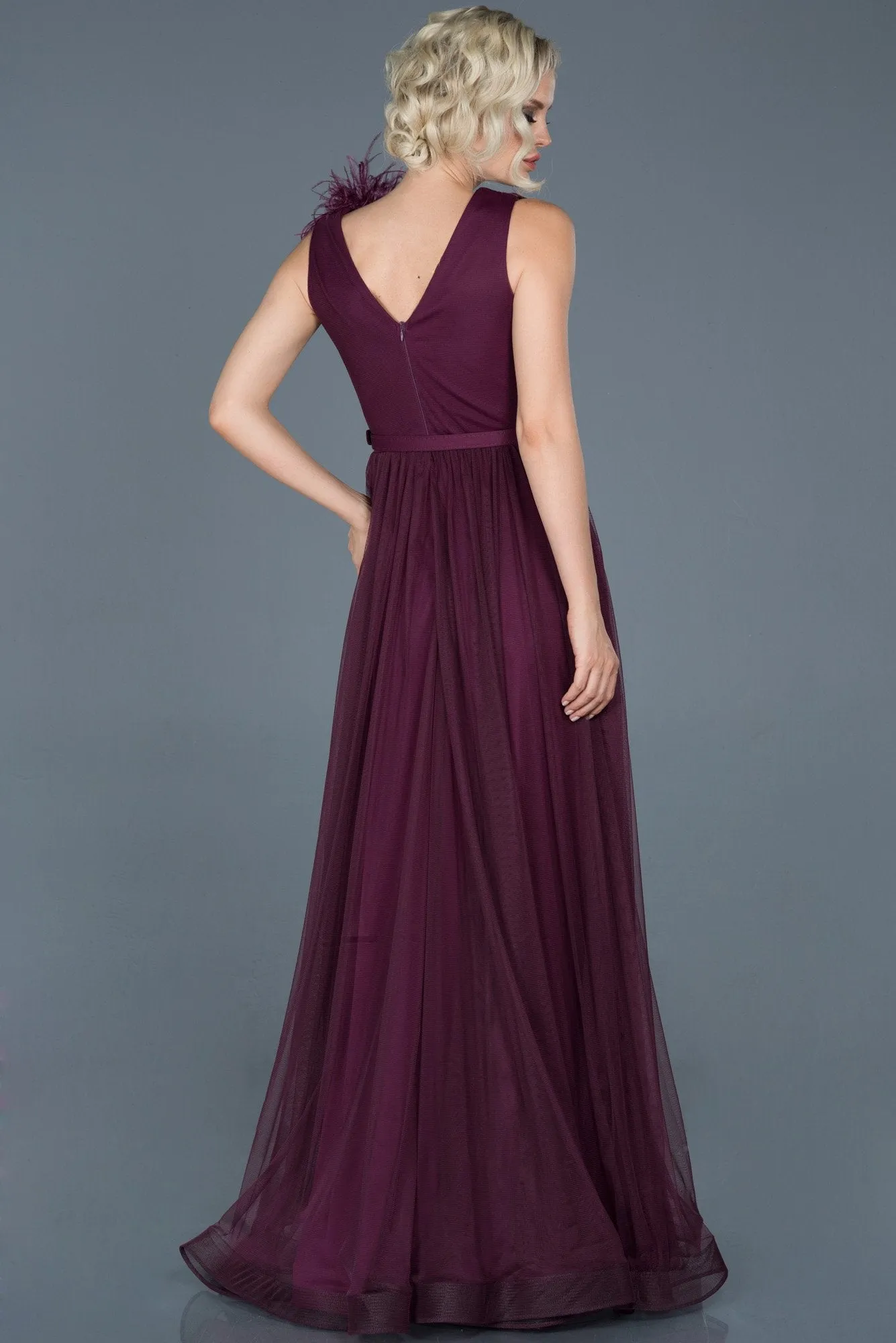 16735 Plum Feather Detail Belt Tulle Dress