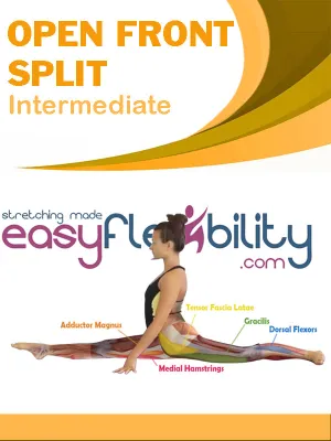 Open Front Splits Intermediate